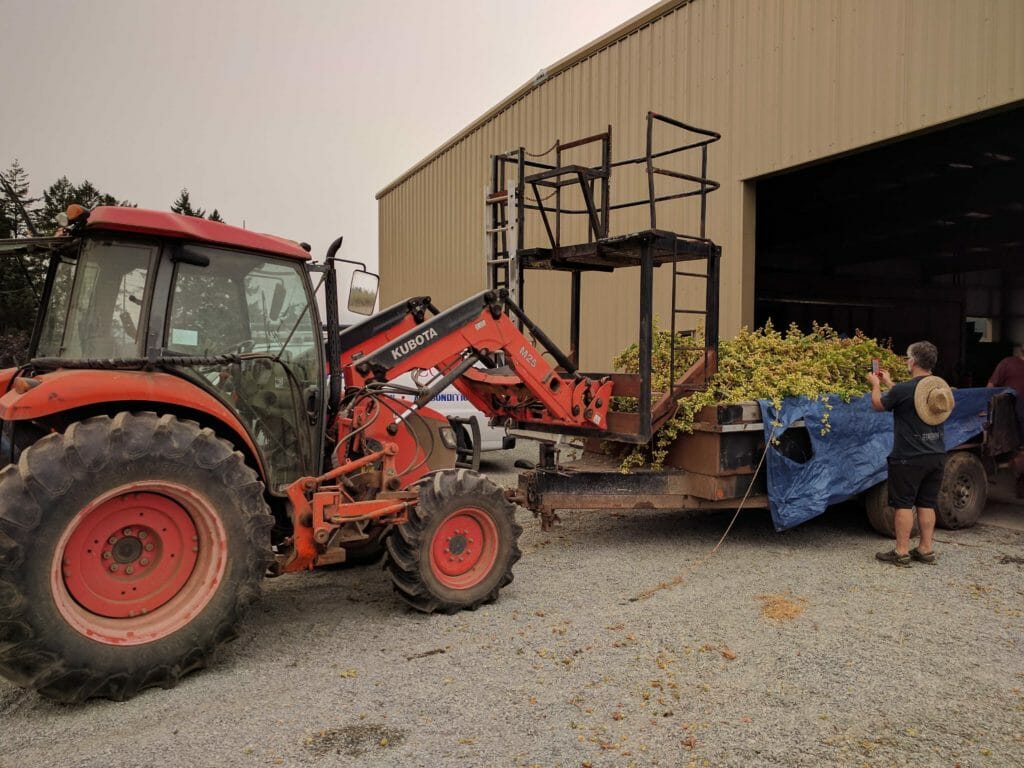 Cedar Valley Hop Yards