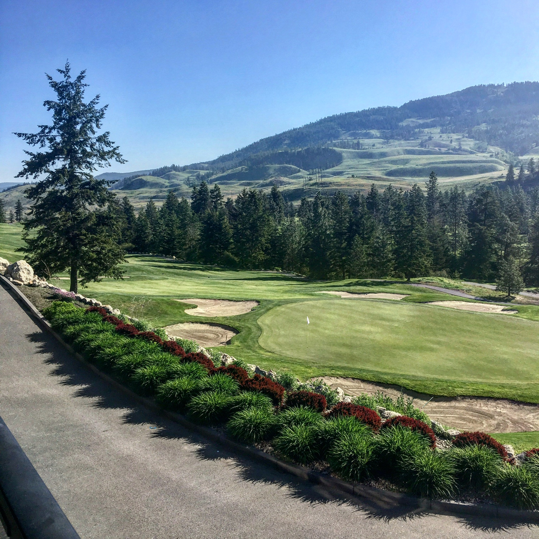 BC Ale Trail - Birdies and Brews - Roz Buchanan