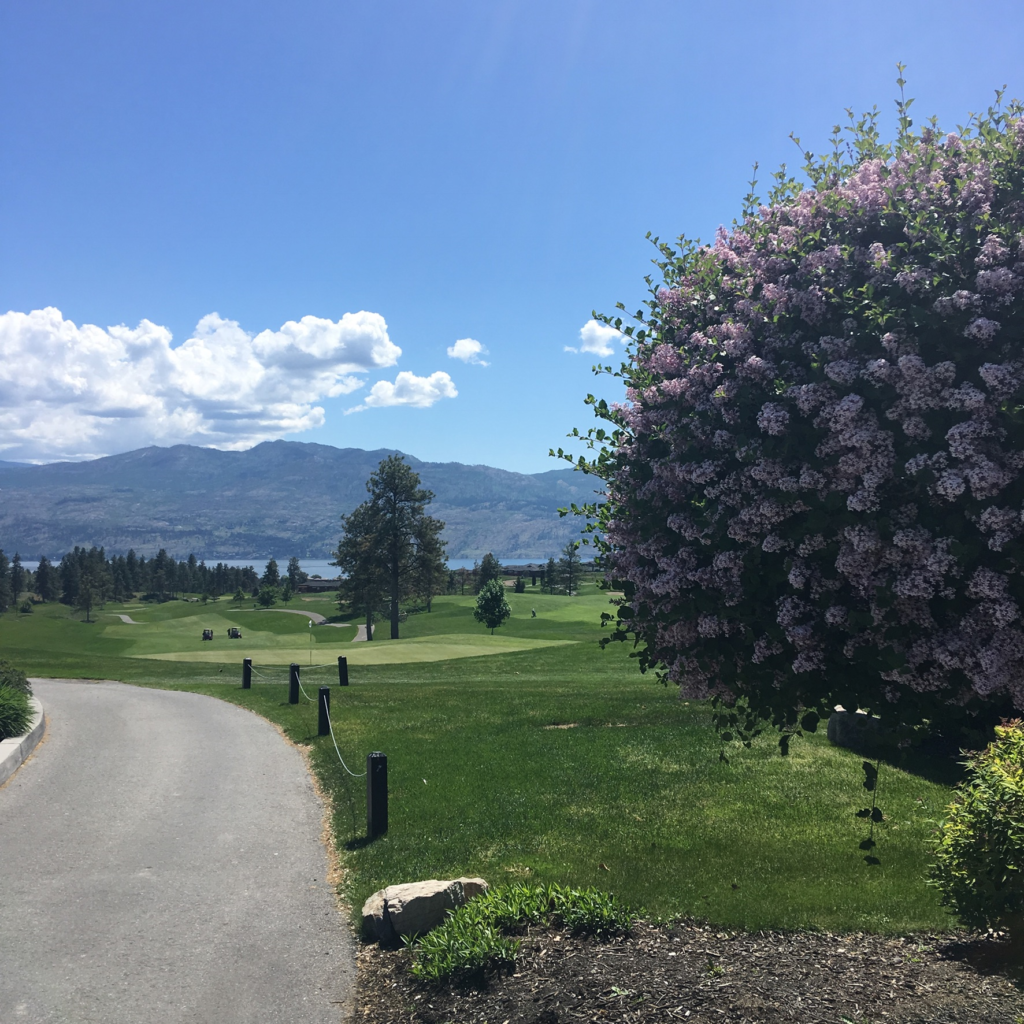 BC Ale Trail - Birdies and Brews - Roz Buchanan