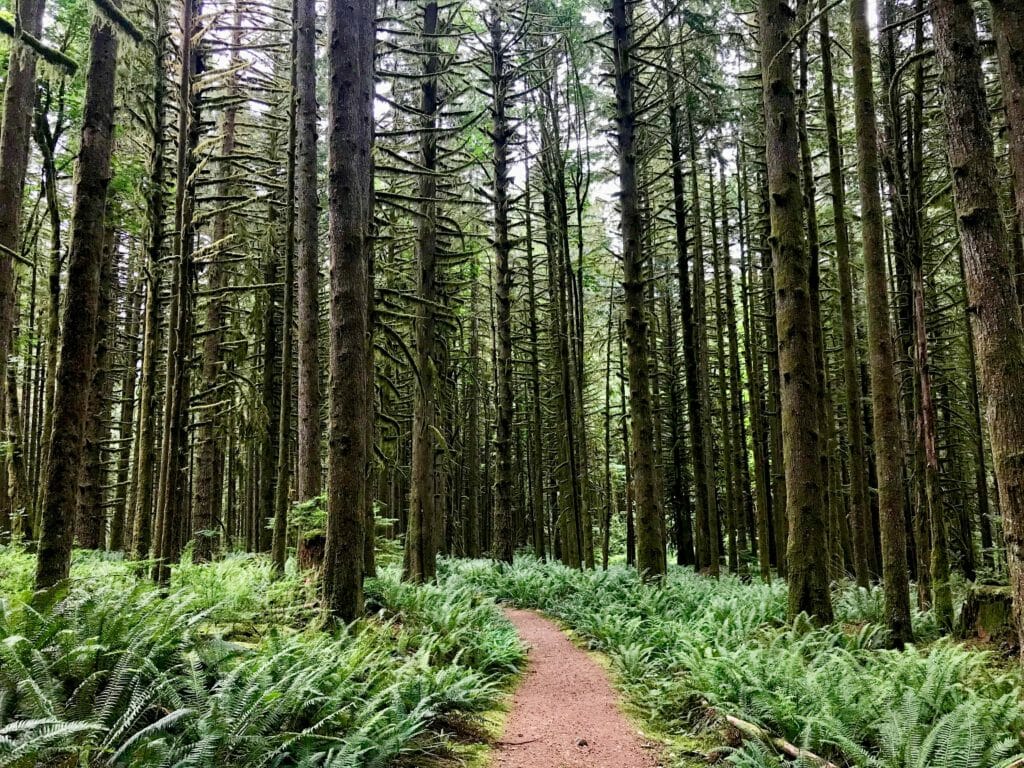 BC Ale Trail - Craft Beer Tourist - West Canyon Trail