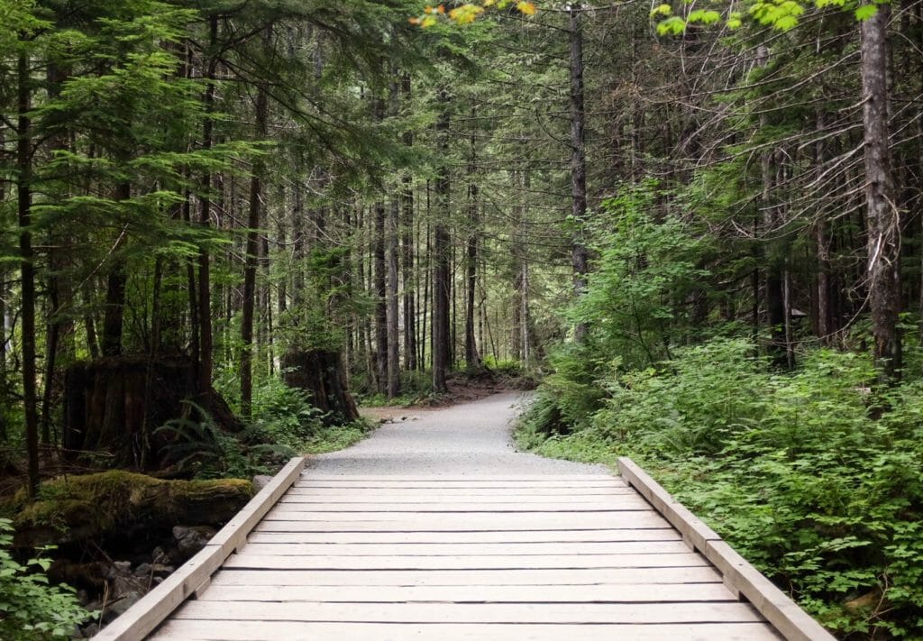 BC Ale Trail - Craft Beer Tourist - Gold Creek Falls Trail