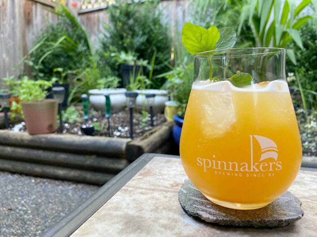 summer beer cocktails