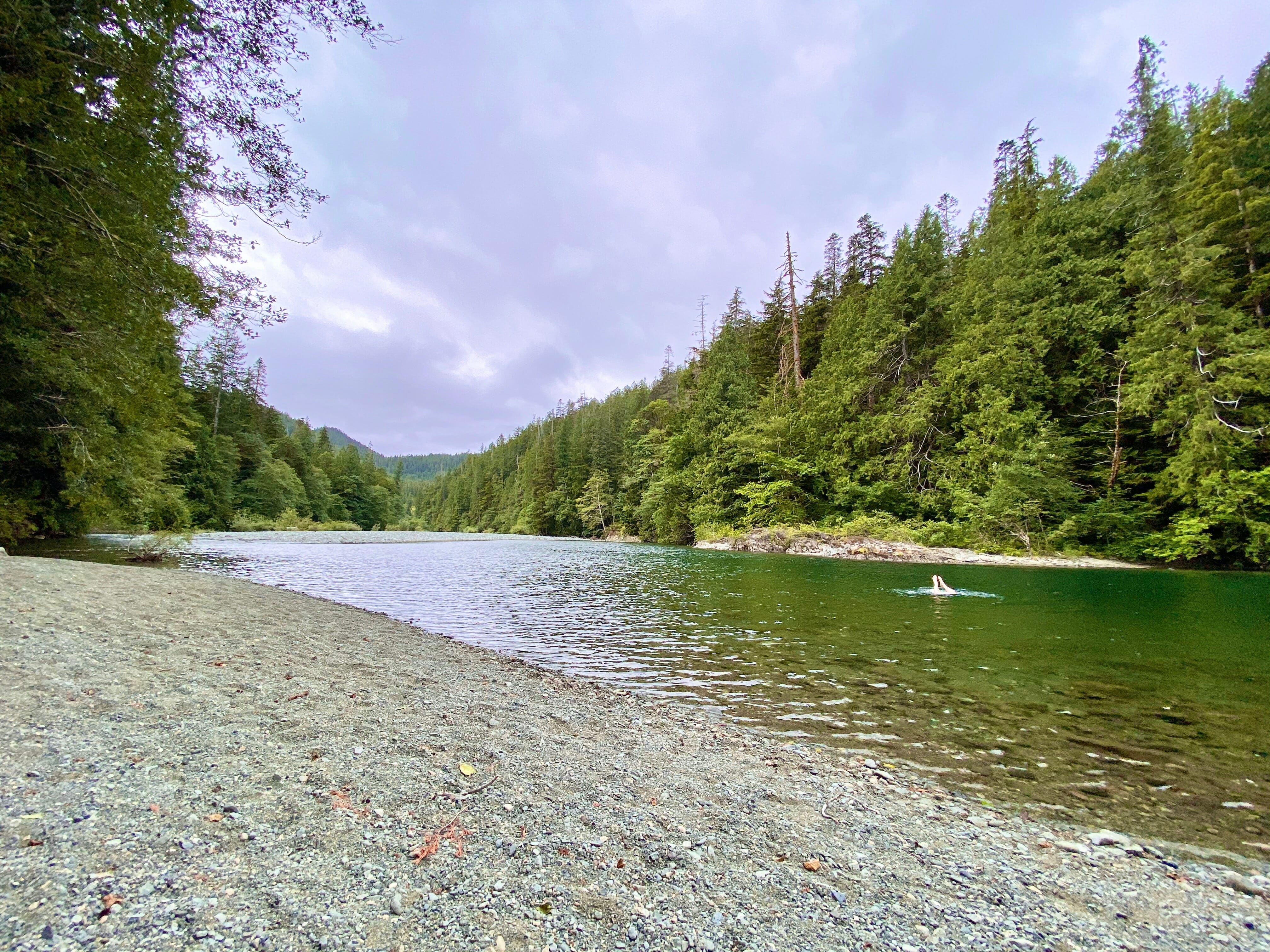 Canoe Creek Recreation Site on BC Highway 4