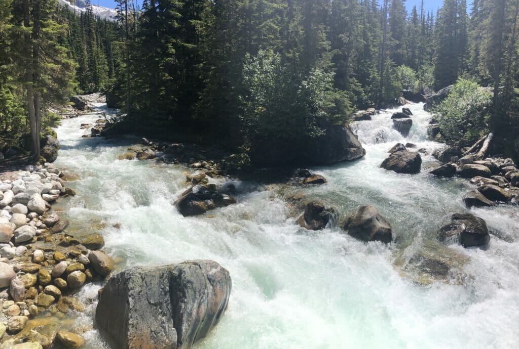 Meeting of the Waters at Illecillewaet Campground