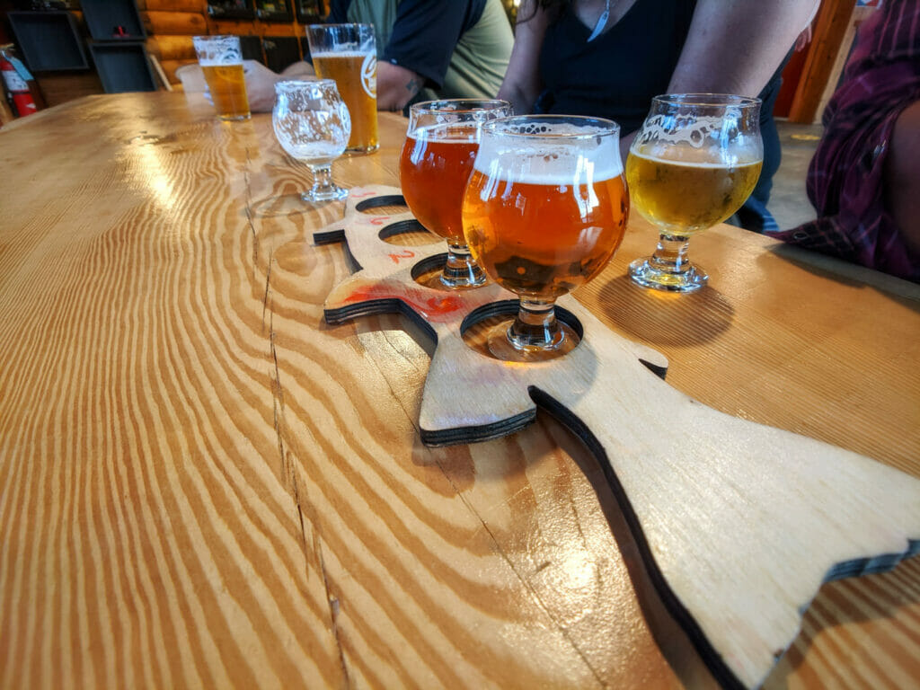 Flight of beer in fish-shaped flight holder