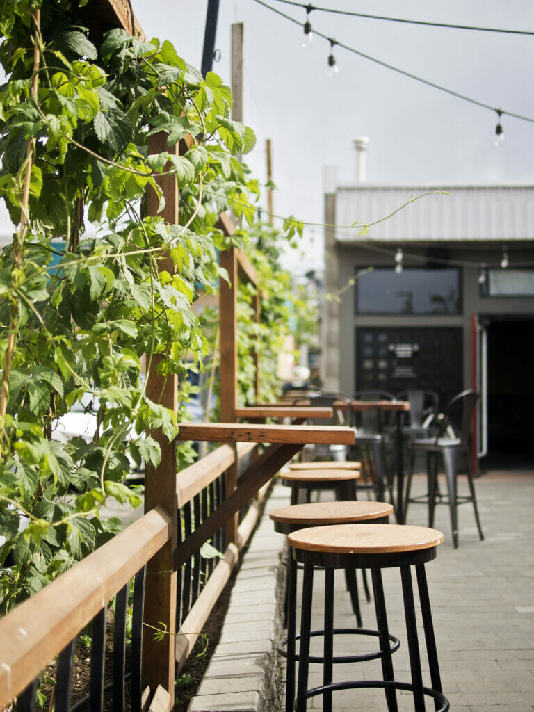 The patio at Red Collar Brewing in Kamloops on the BC Ale Trail