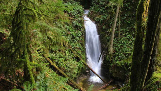 Burnett Falls on the BC Ale Trail