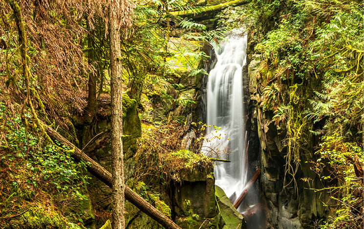 Cypress Falls on the BC Ale Trail