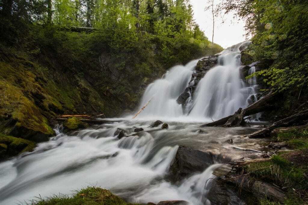 Fairy Creek on the BC Ale Trail