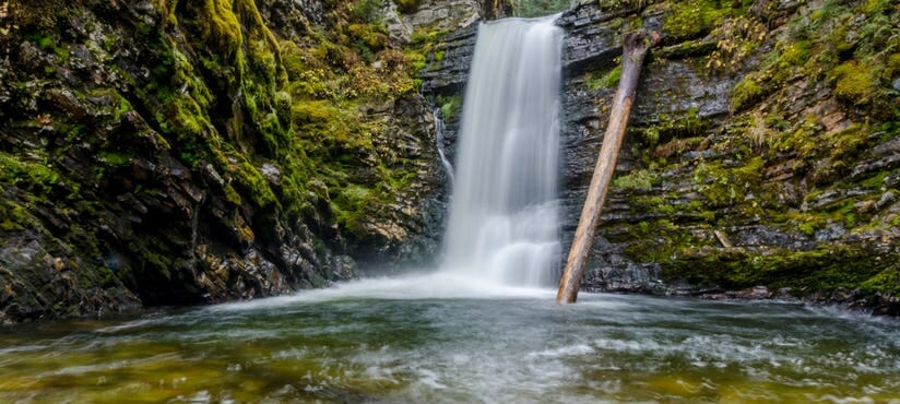 The Ancient Forest Falls on the BC Ale Trail