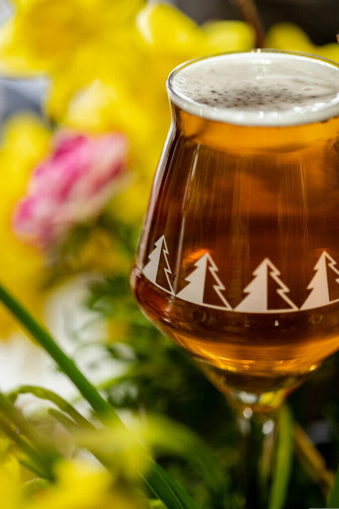 spring beer releases Camp Beer Co - Spring Camp