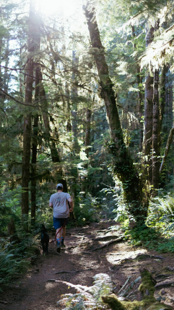 trails in the comox valley -