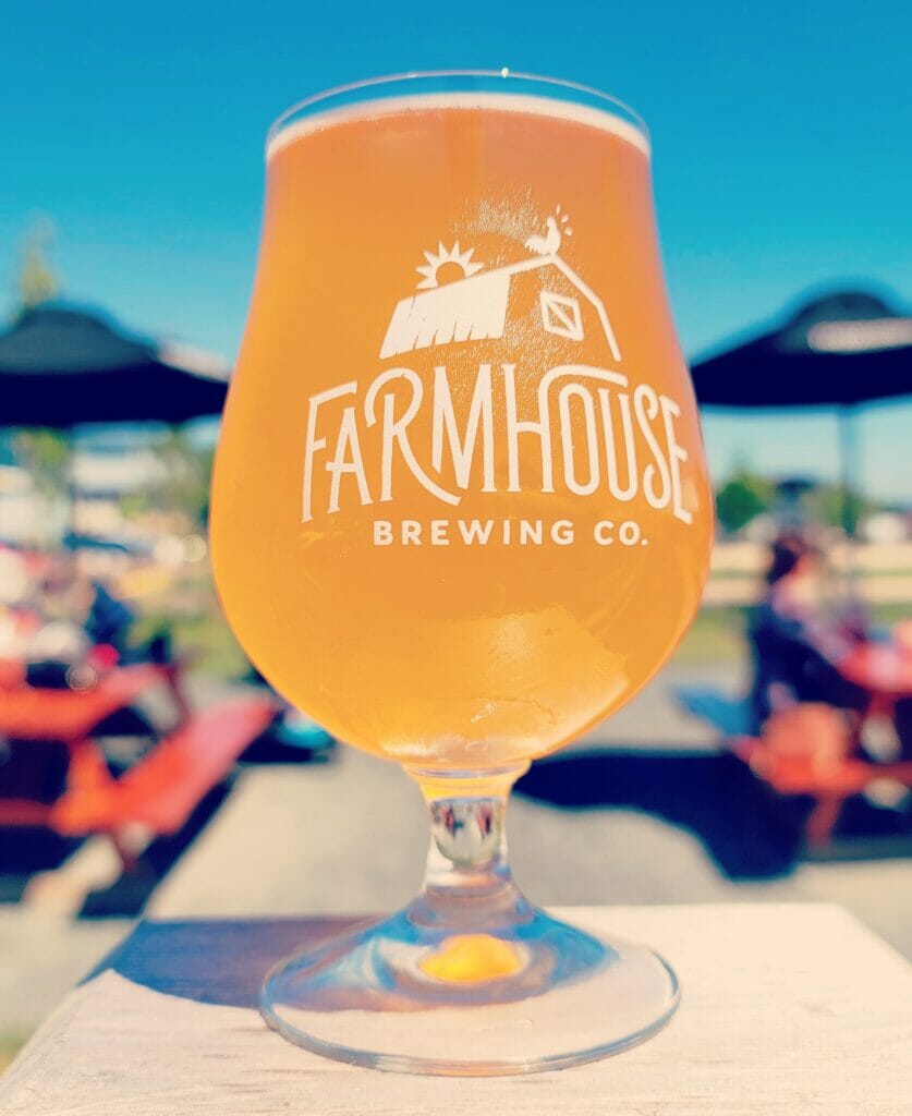 Pineapple Sabro Sour - submitted - Farmhouse Brewing