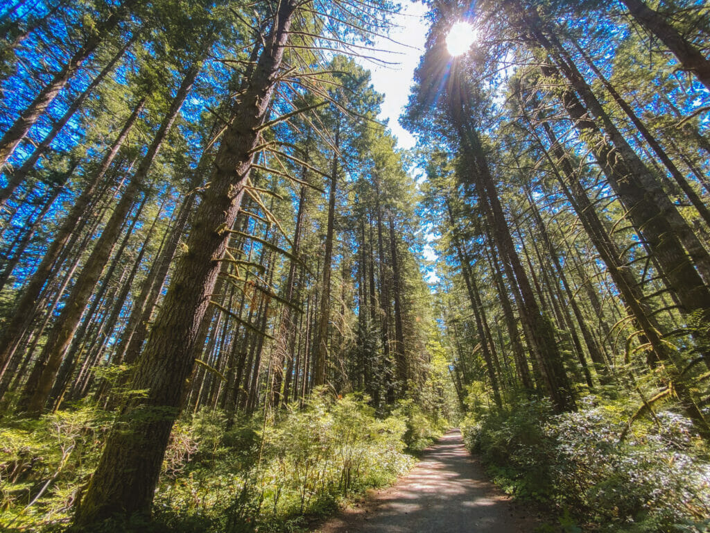 trails in the comox valley - Seal Bay Nature Park Horse Bike Loop