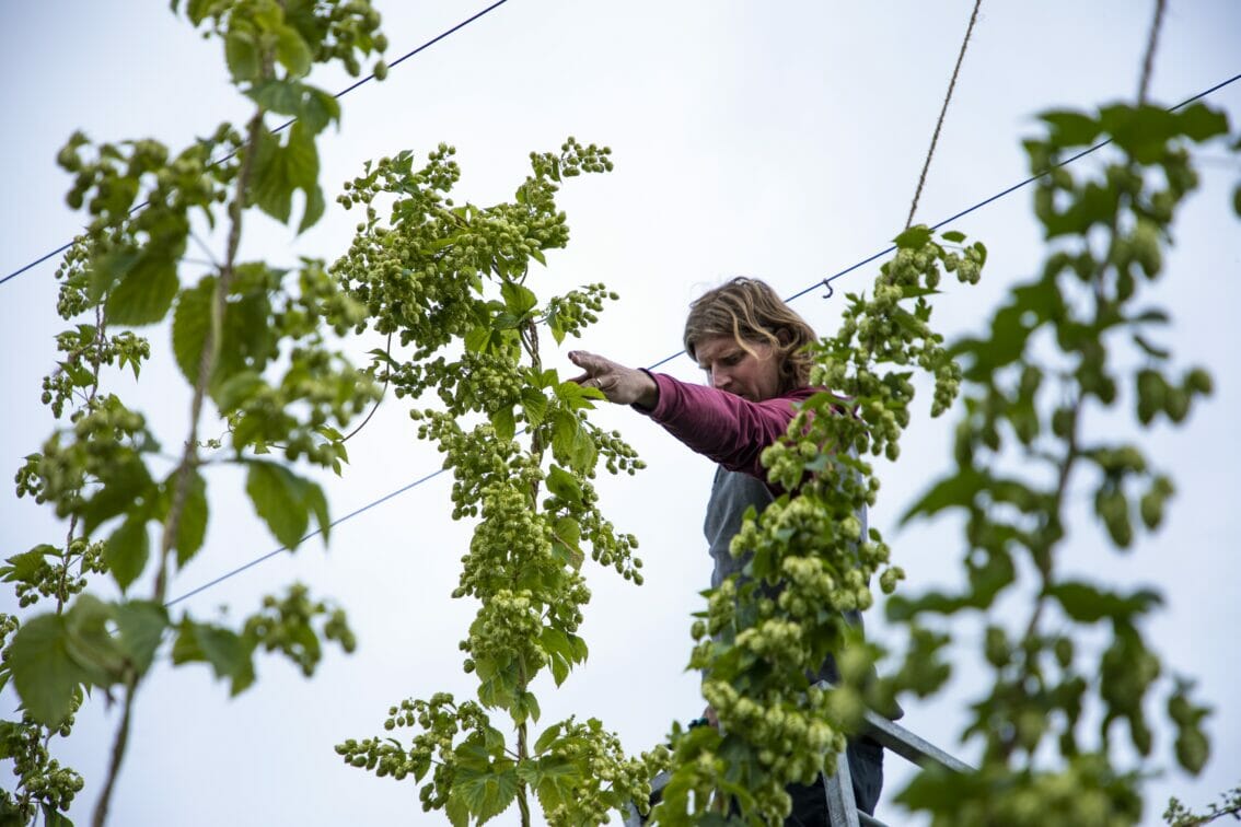 Locality Brewing on the BC Ale Trail