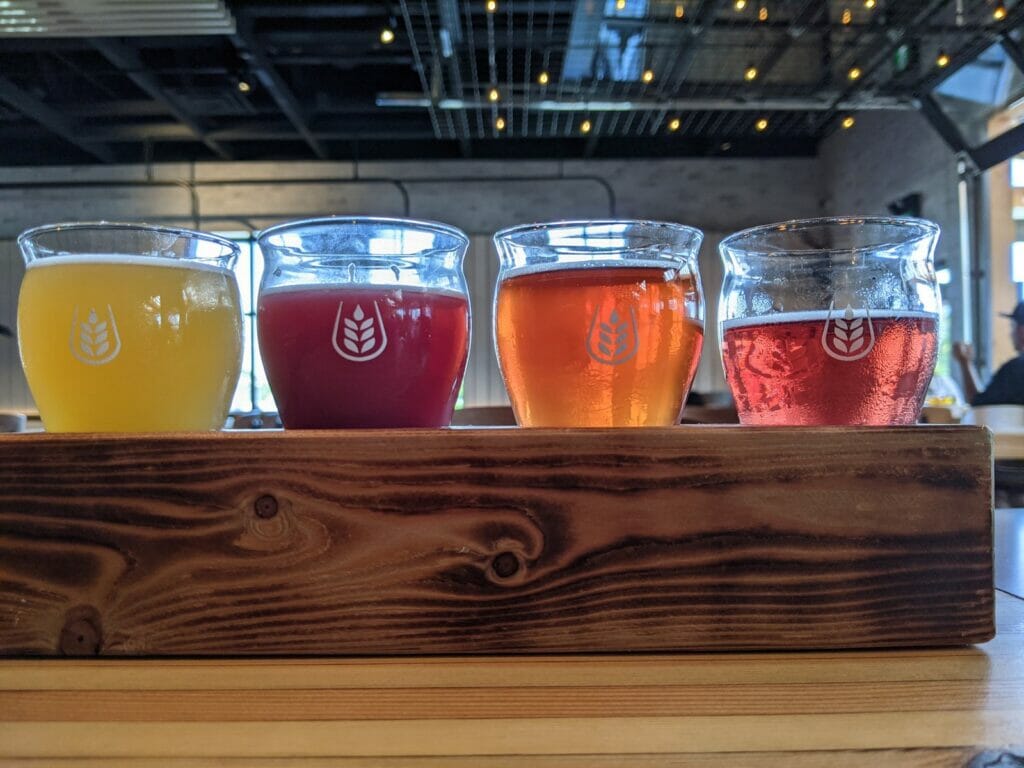 Taking flight: a rainbow of beers