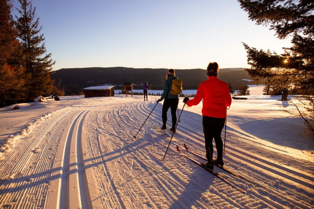 Stake Lake Ski Trail - Tamra Jaeger