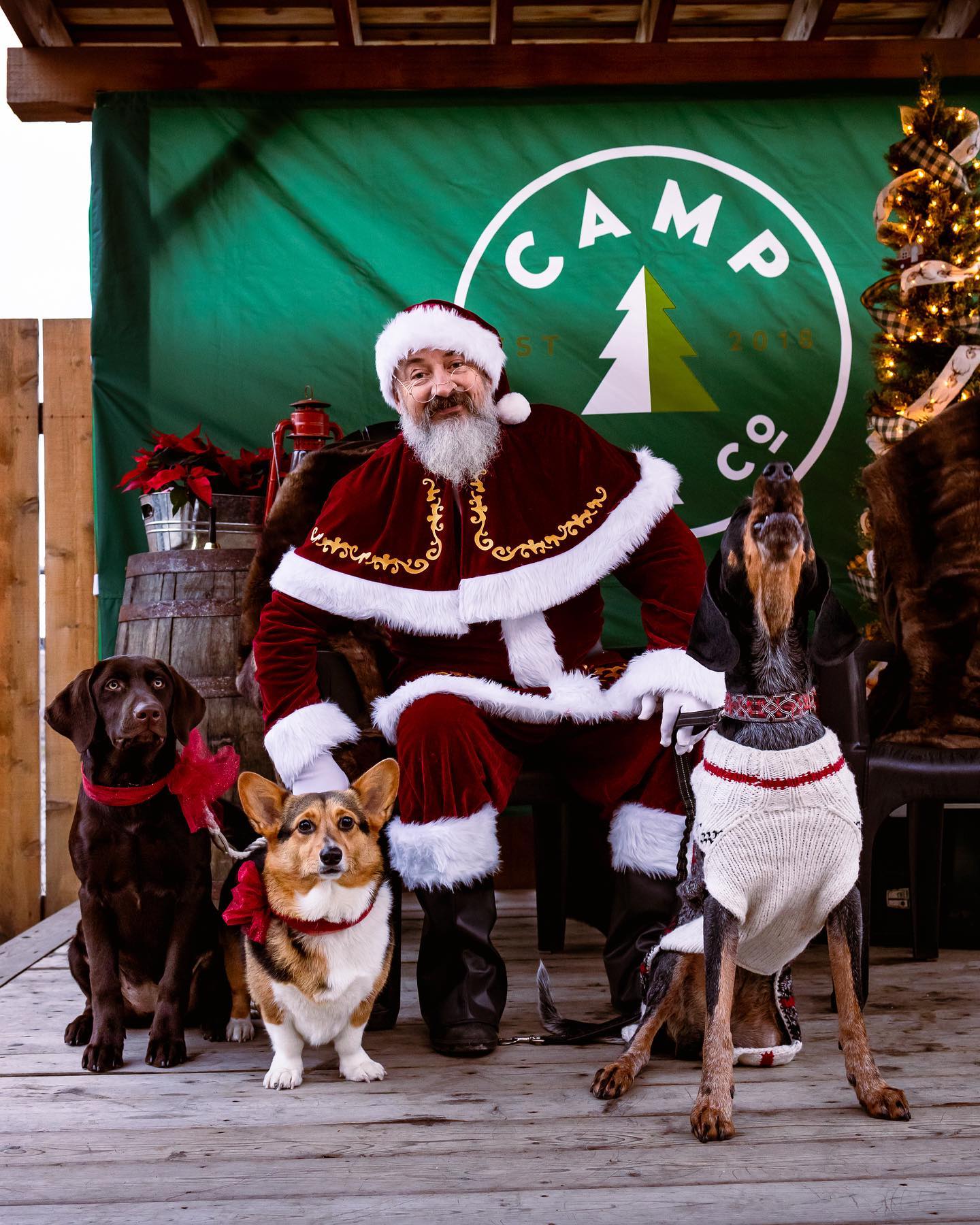 Santa Claws at Camp Beer Co with dog friends