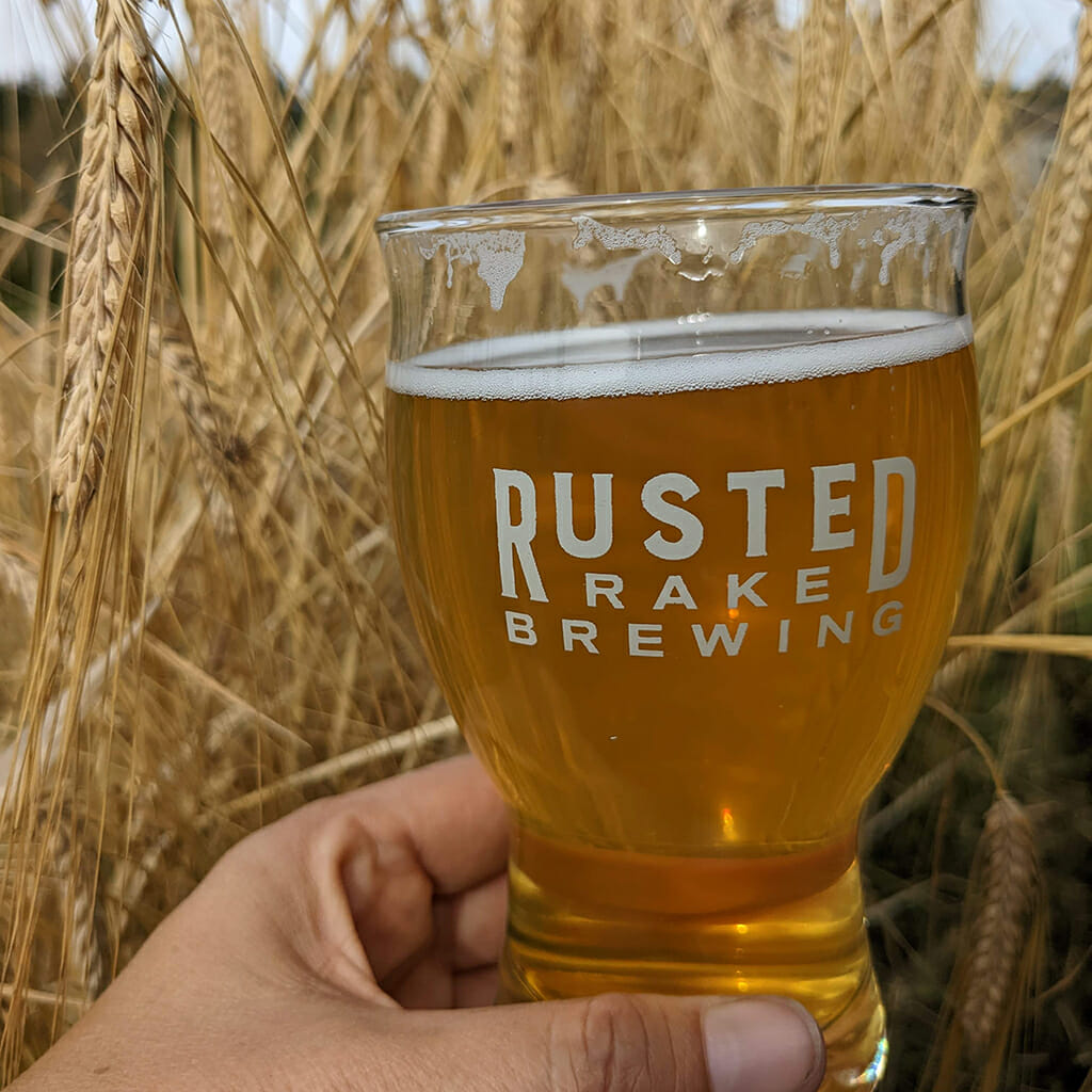 A pint of beer among the grains grown at Rusted Rake Brewing