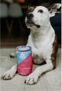 Brown and white dog with Coast Mountain dog toy