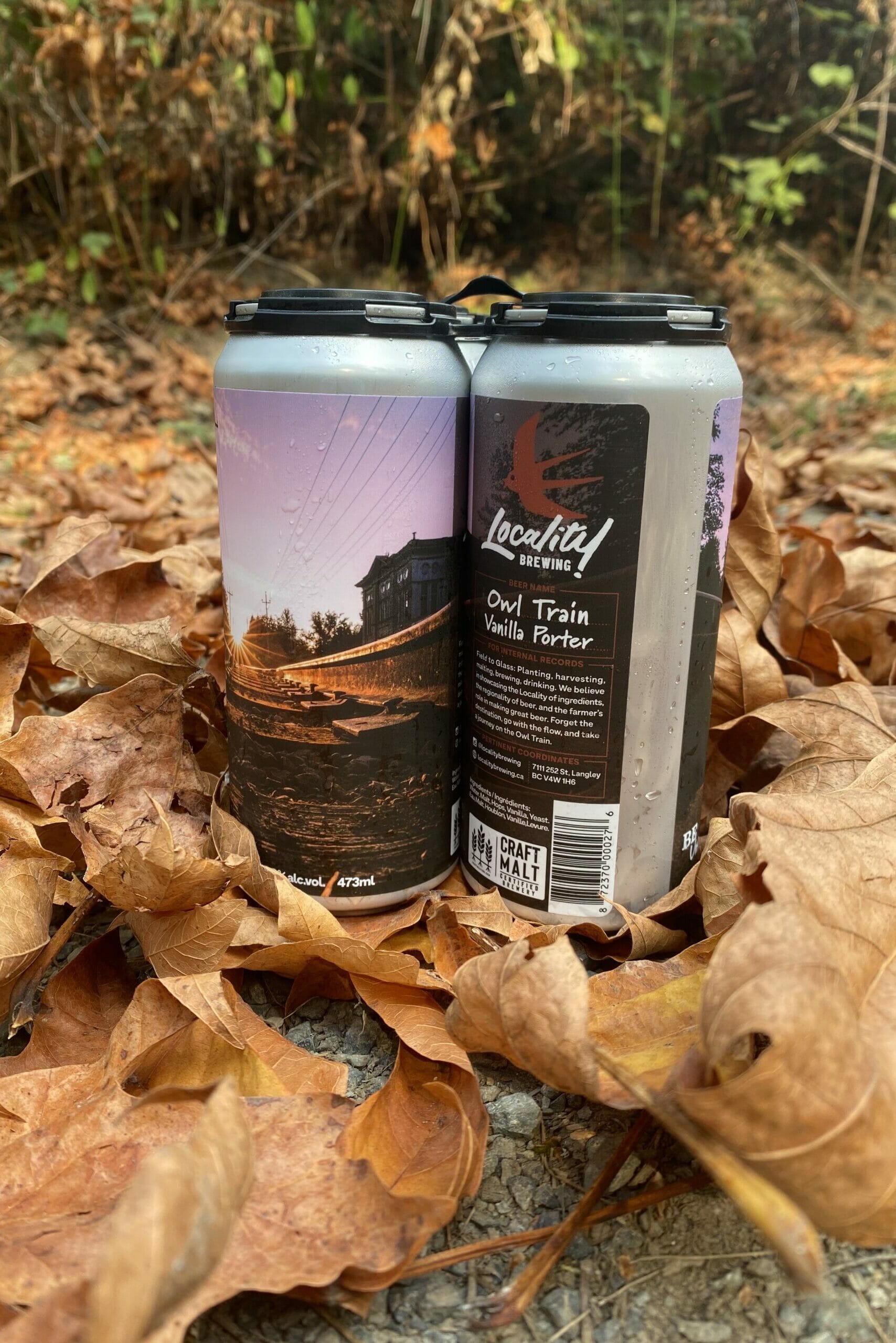 Owl Train Vanilla Porter - Locality Brewing