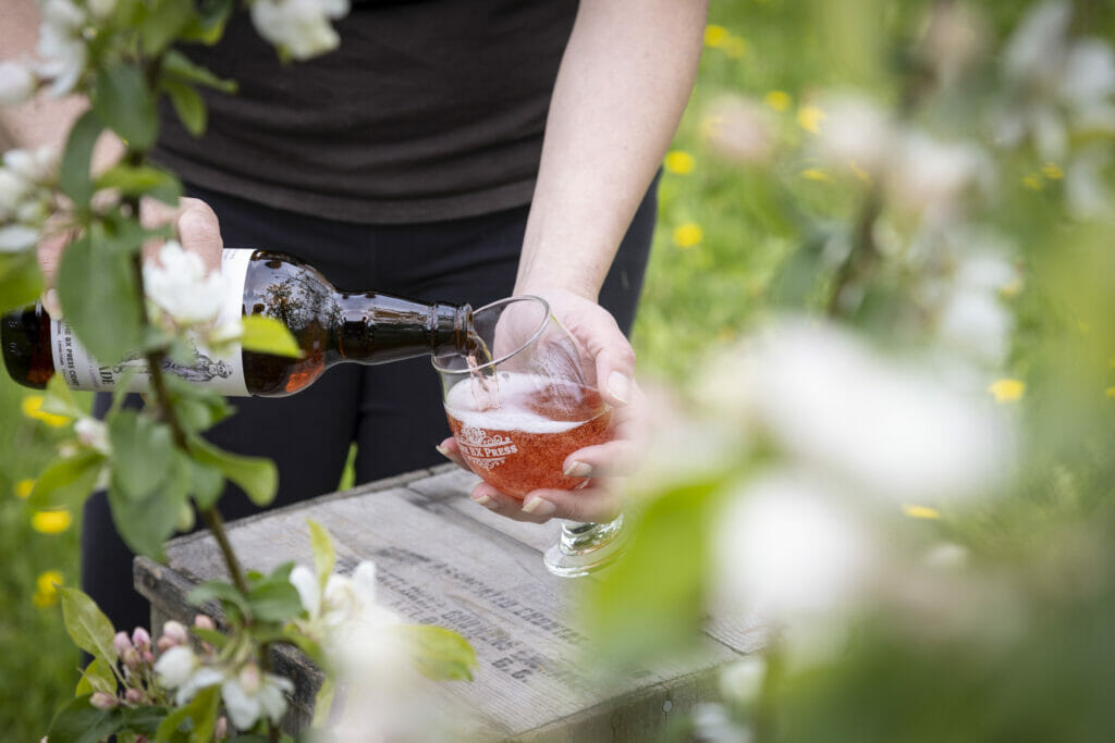 Pouring a glass of cider at Cambium Cider