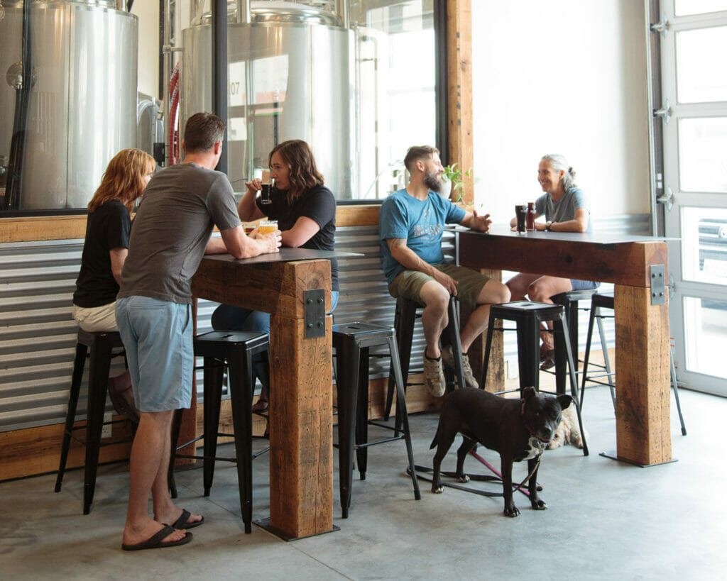 Dogs and customers in the tasting room at Unleashed Brewing, Kelowna