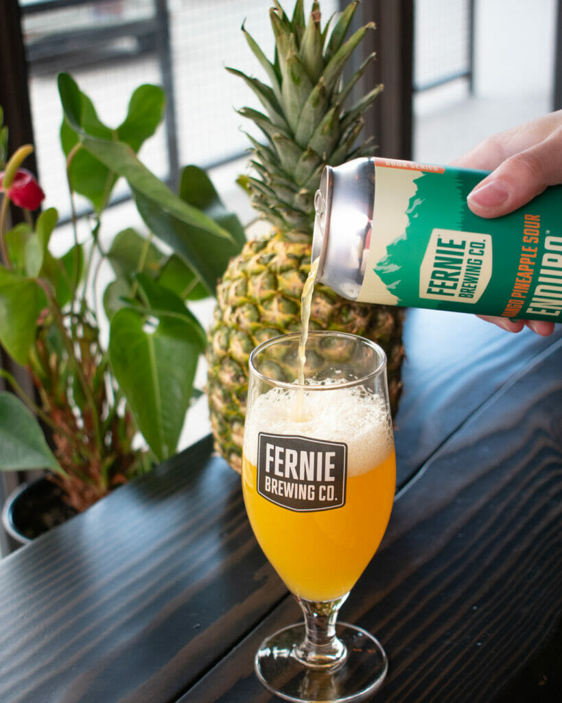 Enduro Mango Pineapple Sour by Fernie Brewing