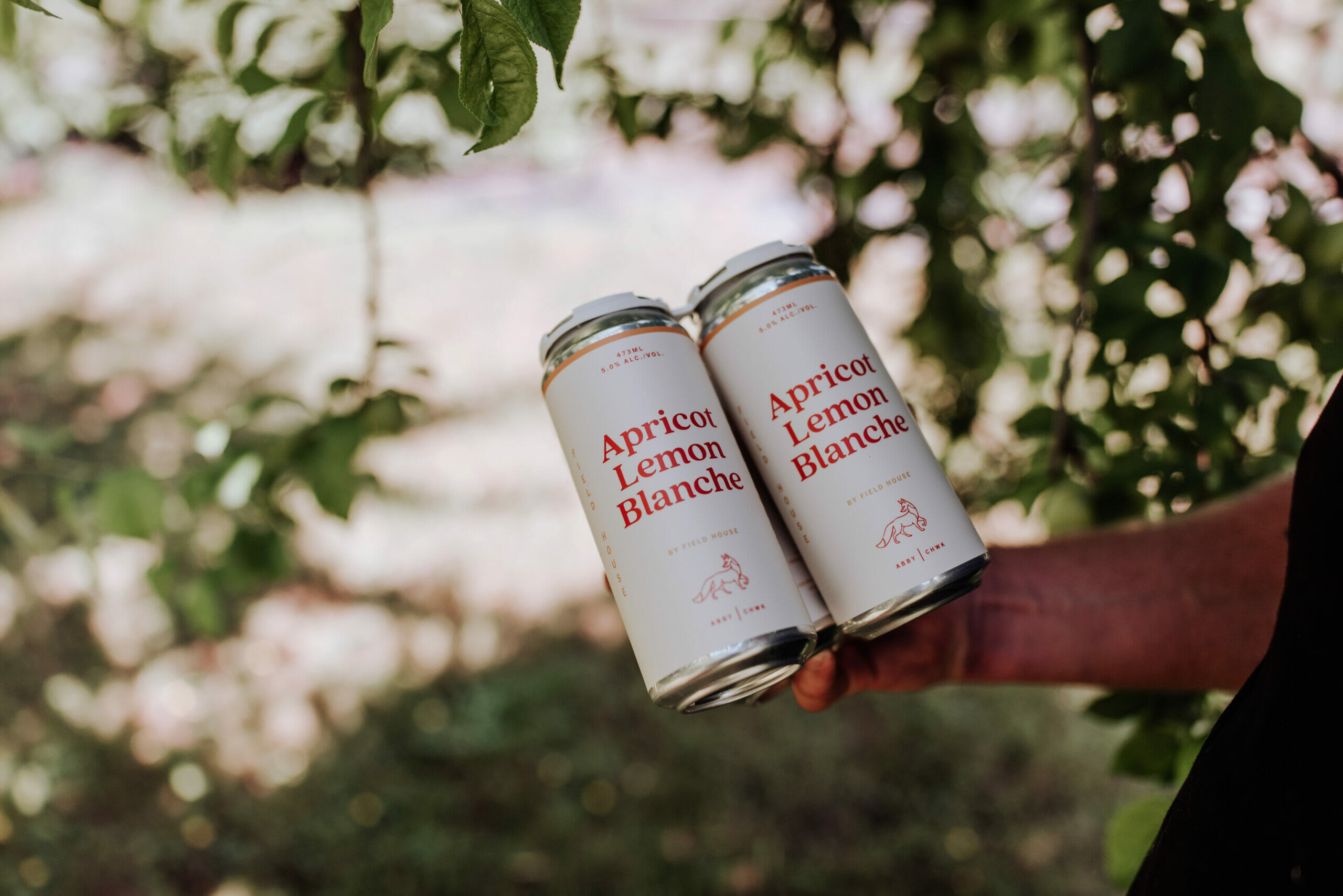 a 4 pack of Apricot Lemon Blanche from Field House Brewing in Abbotsford