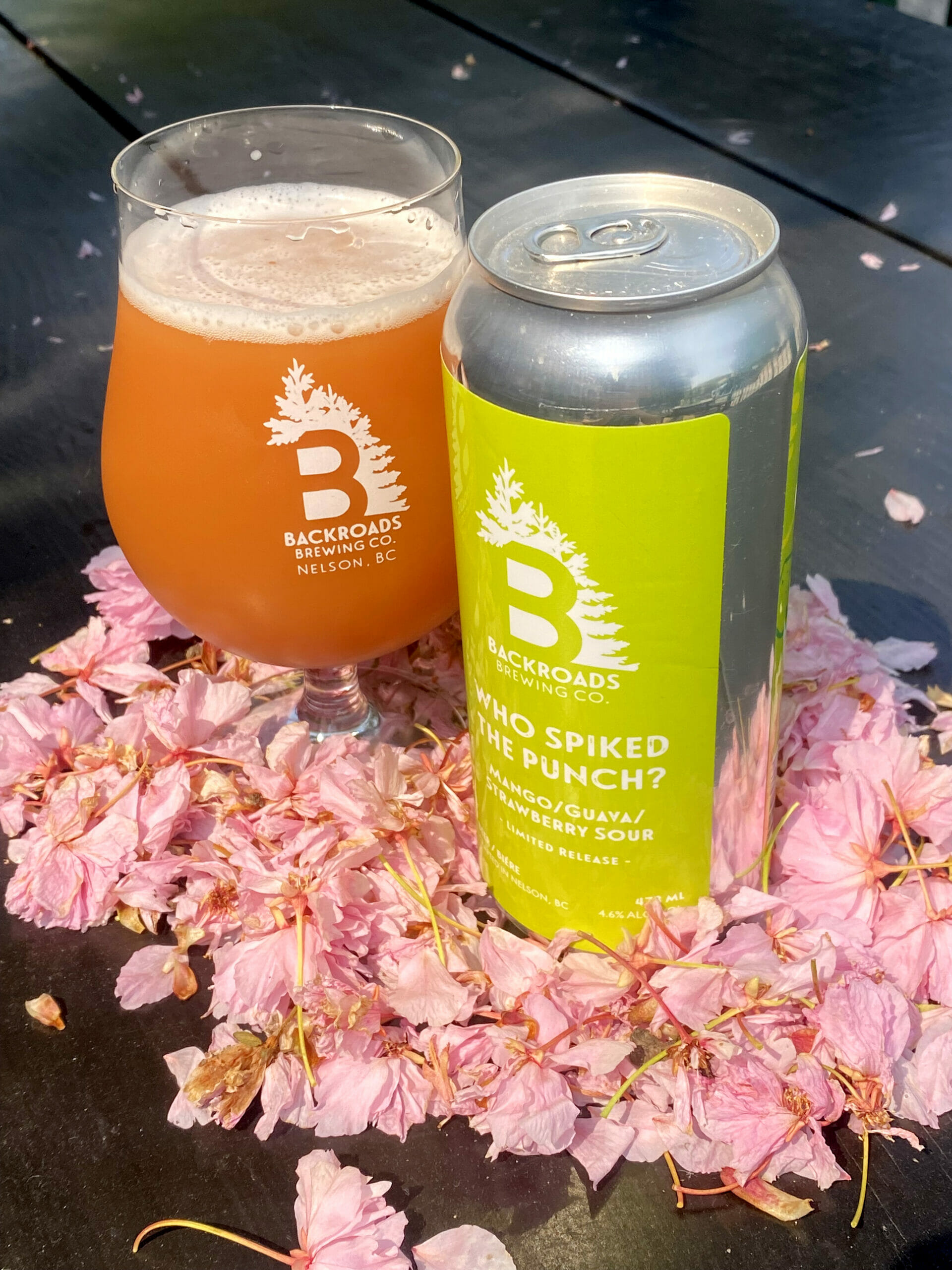 Who Spiked the Punch by Backroads Brewing Company in Nelson