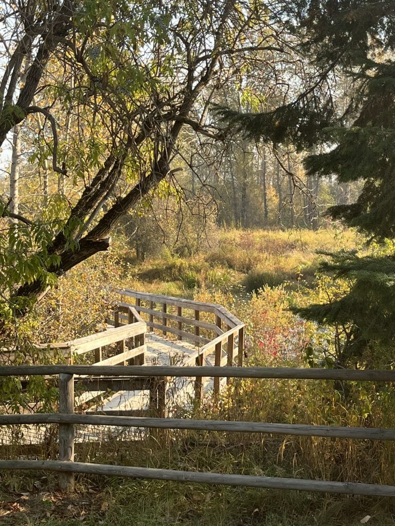 Creston Marsh Loop - Kendall Hunter