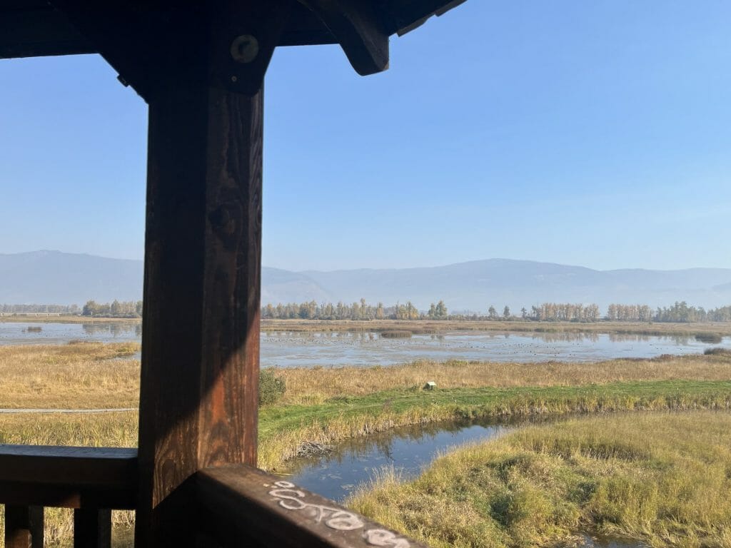 Creston Marsh Loop - Kendall Hunter